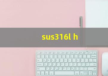 sus316l h